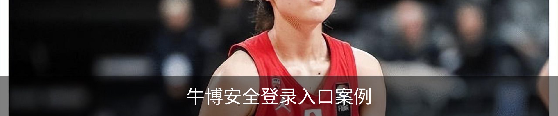 牛博安全登录入口案例
