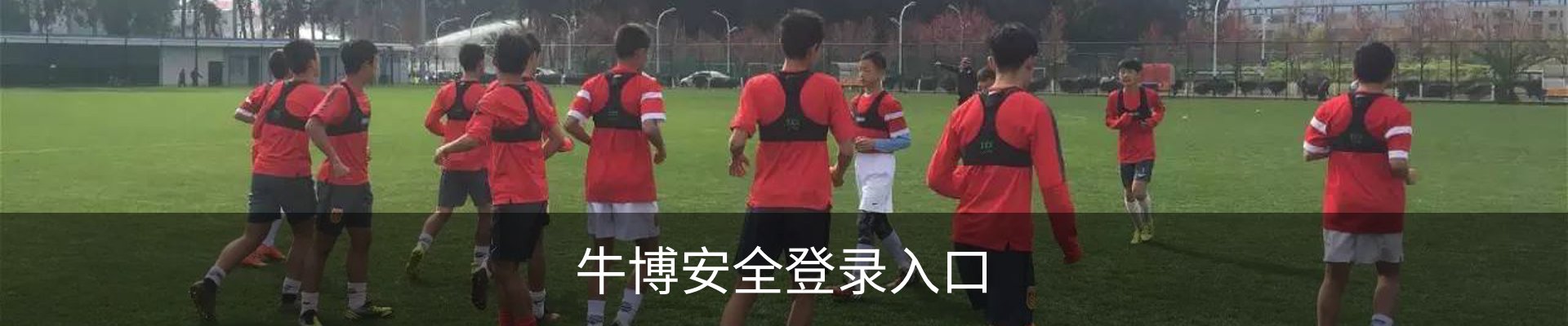牛博安全登录入口